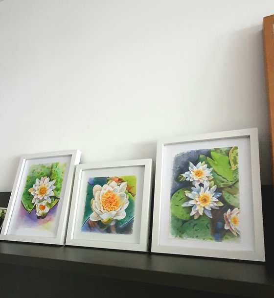 Waterlily floral