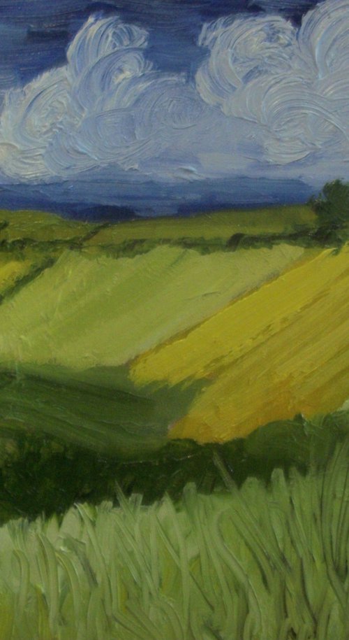 Fields by Jack Bagley