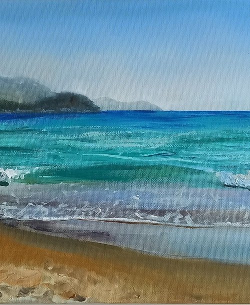 Coastal beach and ocean by Leyla Demir