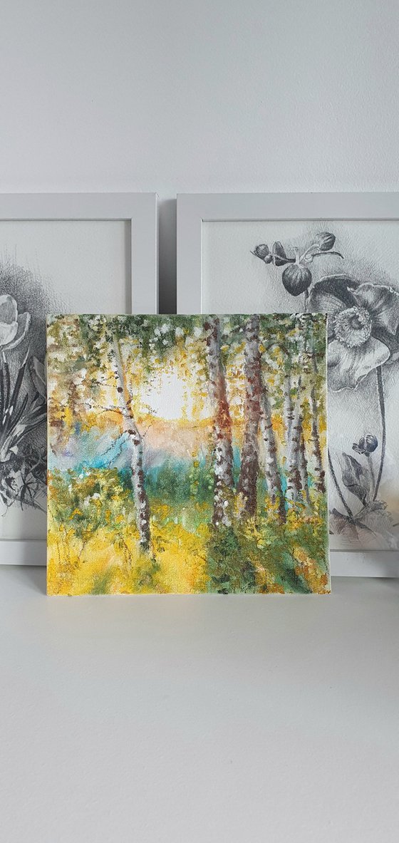 Birch grove
