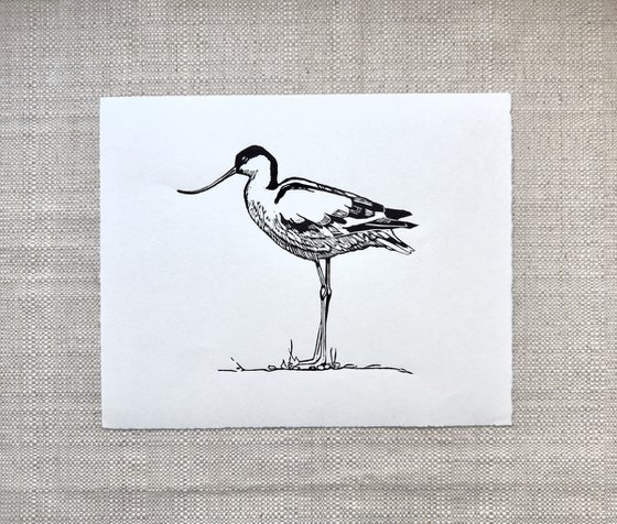 Avocet Linocut