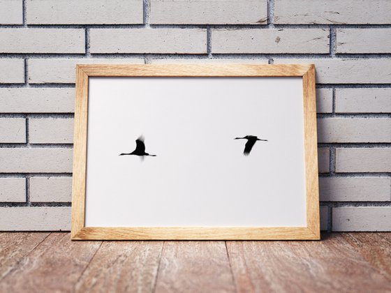 Crane(s) II | Limited Edition Fine Art Print 1 of 10 | 75 x 50 cm