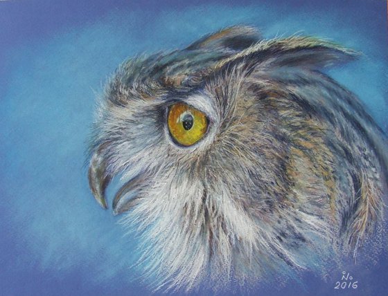 Eagle - owl