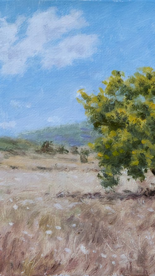 Milivo by Dejan Trajkovic