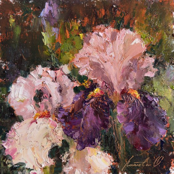 Iris in Claude Monet's Garden
