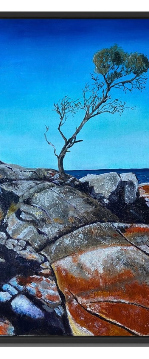 Sentinel Of The Bay by Wendy Peters