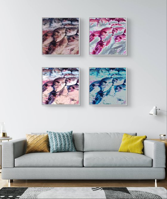 Photo Collage Colorful Fish