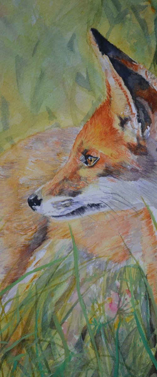 Fox by Sarah Stowe