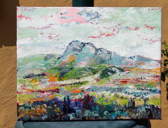 les Alpilles 2