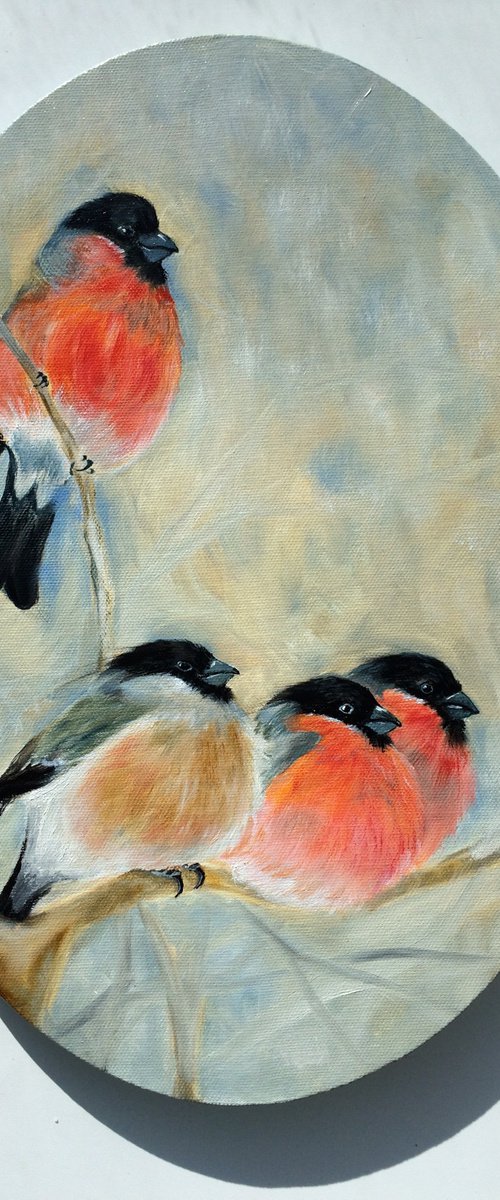 Birds on the branches oil painting - Four bullfinches ellipse canvas - Christmas gift for bird lover by Olga Ivanova