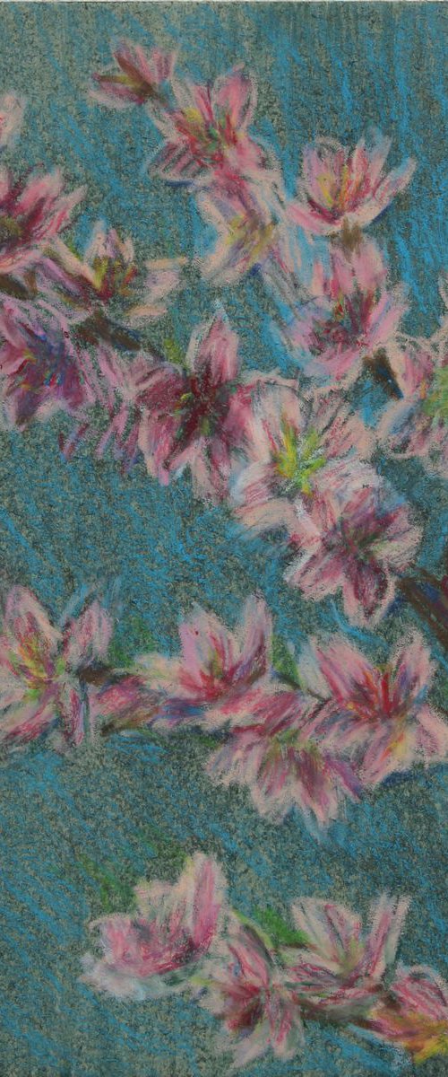 Peach Flowers, 2018, oil pastel on paper, 29.5 x 21 cm by Alenka Koderman