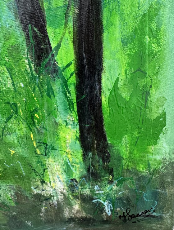 Misty Spring Woodland