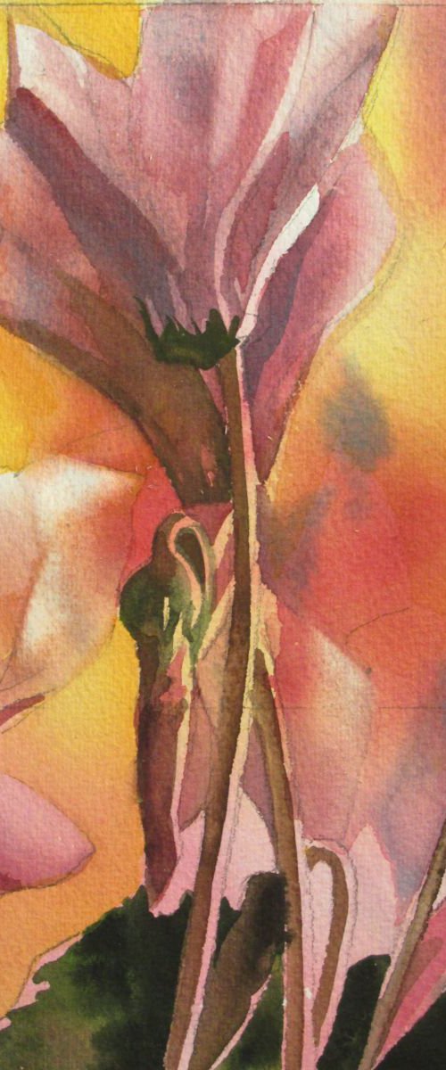 a painting a day #46 "Festive Cyclamen" by Alfred  Ng