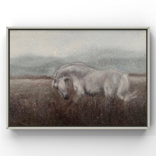White horse in the field by Alina Marsovna