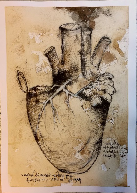 Leonardo's heart