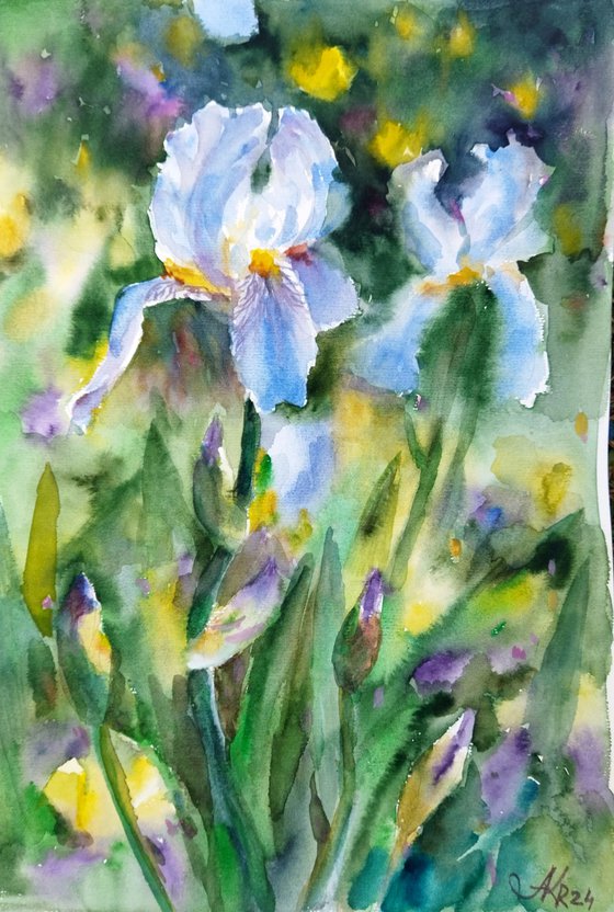 Charming flowers of iris