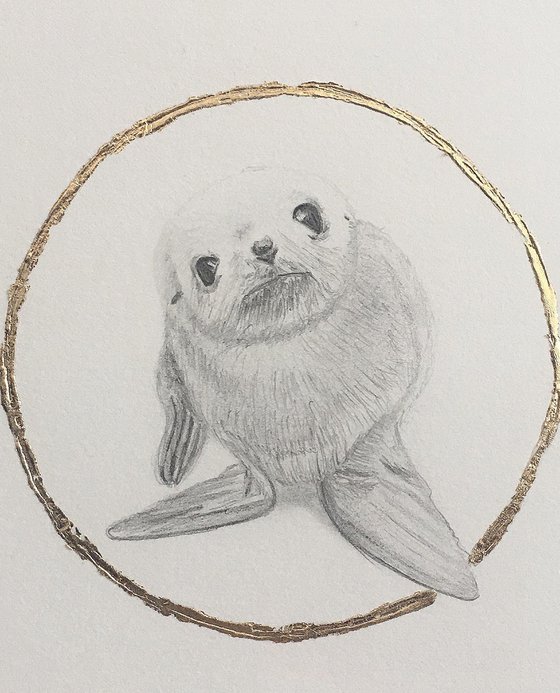 Seal drawing.