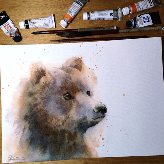 Bear portrait