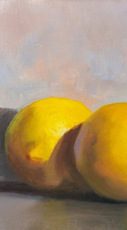 Two Lemons by Pascal Giroud