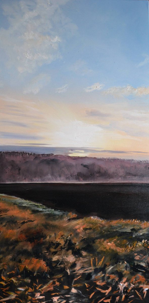 Landscape Oil Painting By Valeriia Radziievska, 20 X 39", Windows: Morning Sun, Original Artwork