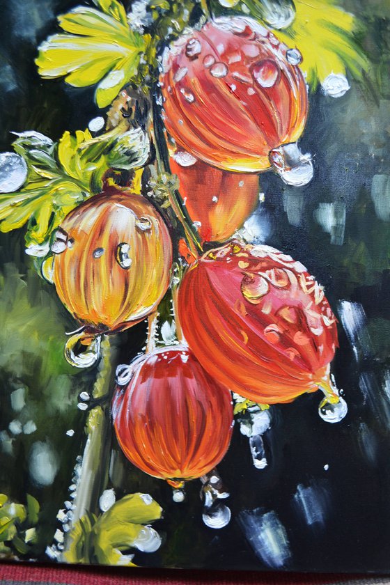 Gooseberry Lanterns