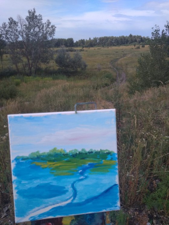 A trail through the meadow. Pleinair painting