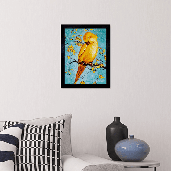 Yellow parrot