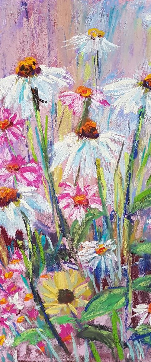 Pink and white daisies. by Silvia Flores Vitiello