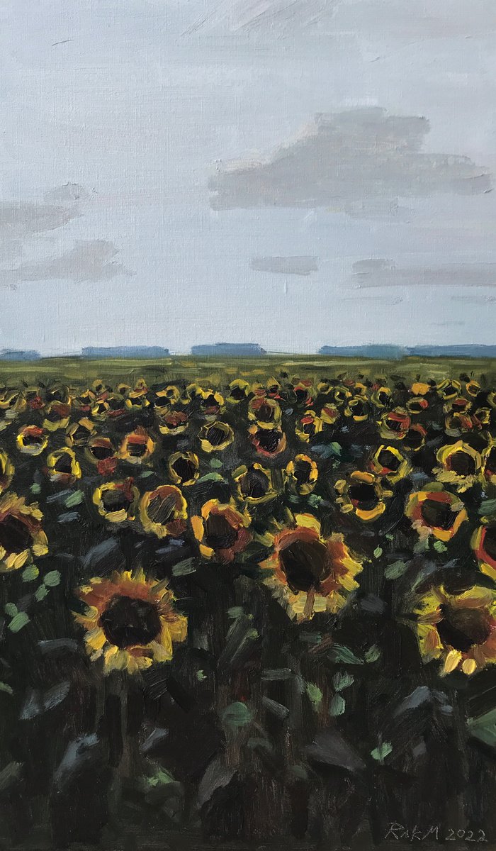 Sunflowers of Ukraine by Michael Rak