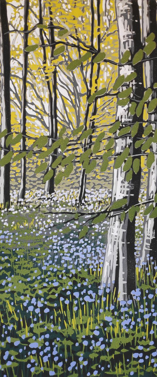 Bluebell Solitude by Alexandra Buckle