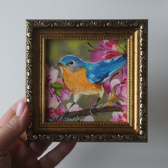 Floral Bluebird