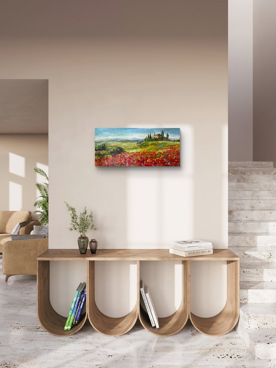 "Poppies of Tuscany.Sunny day."