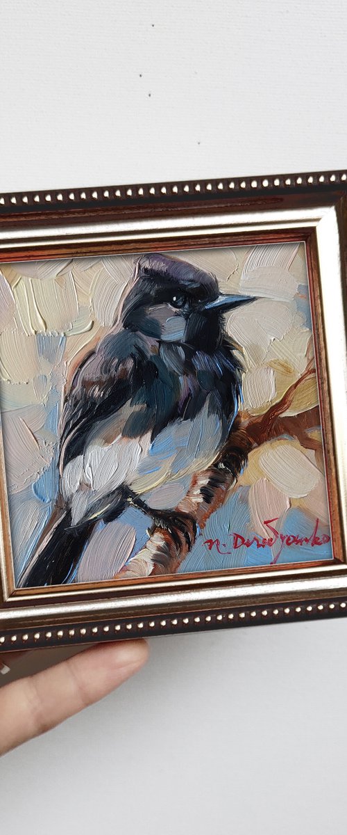 Black Phoebe on branch by Nataly Derevyanko