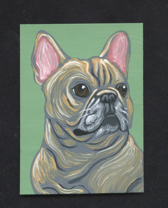 ACEO ATC Original Miniature Painting Cream French Bulldog Pet Dog Art-Carla Smale