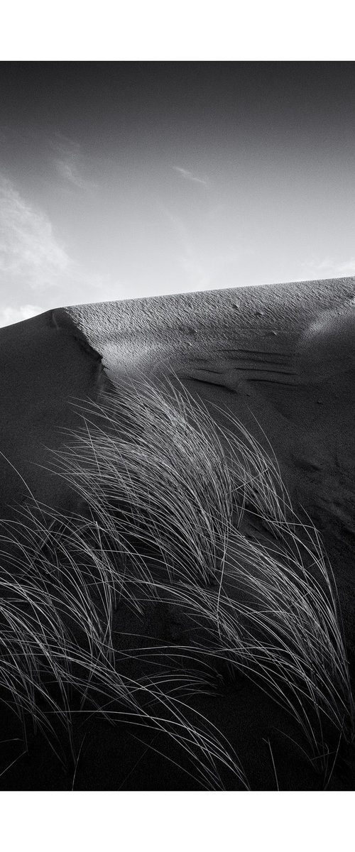 January Days - Grass I by David Baker