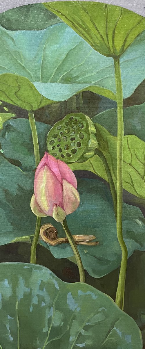 Lotus flower and pod by Guzel Min