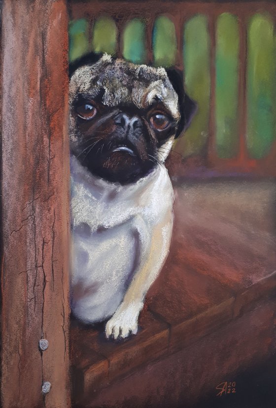 Pug ... FROM THE ANIMAL PORTRAITS SERIES / ORIGINAL PAINTING