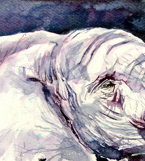 Eating elephant