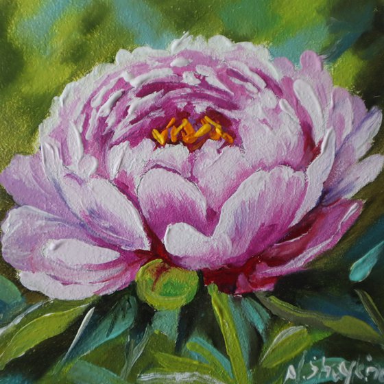 Peony and Rose Miniature Set