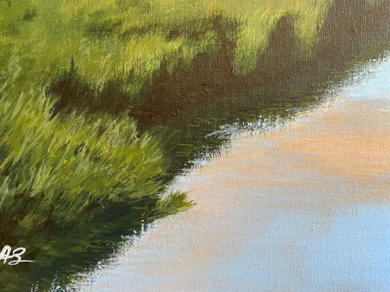 Marshland