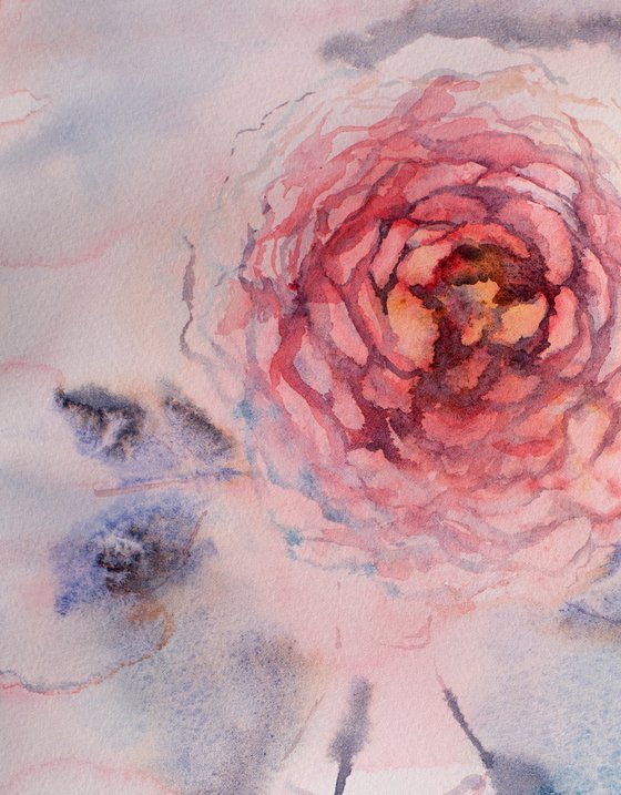 Watercolor tender pink rose