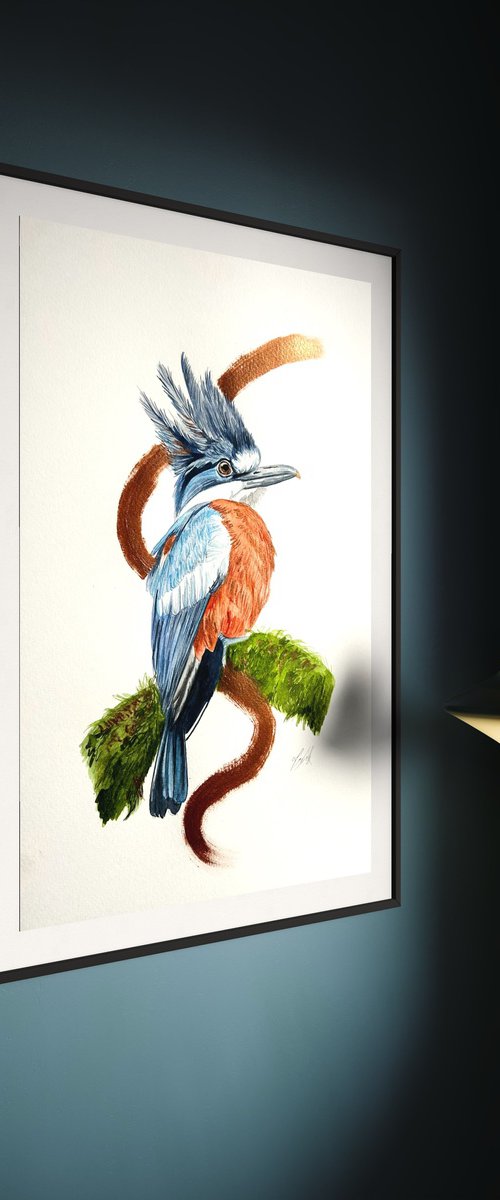 Kingfisher by Amelia Taylor