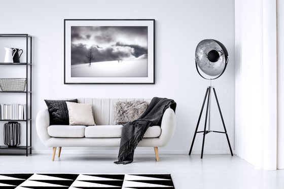 White Italian Scape #12