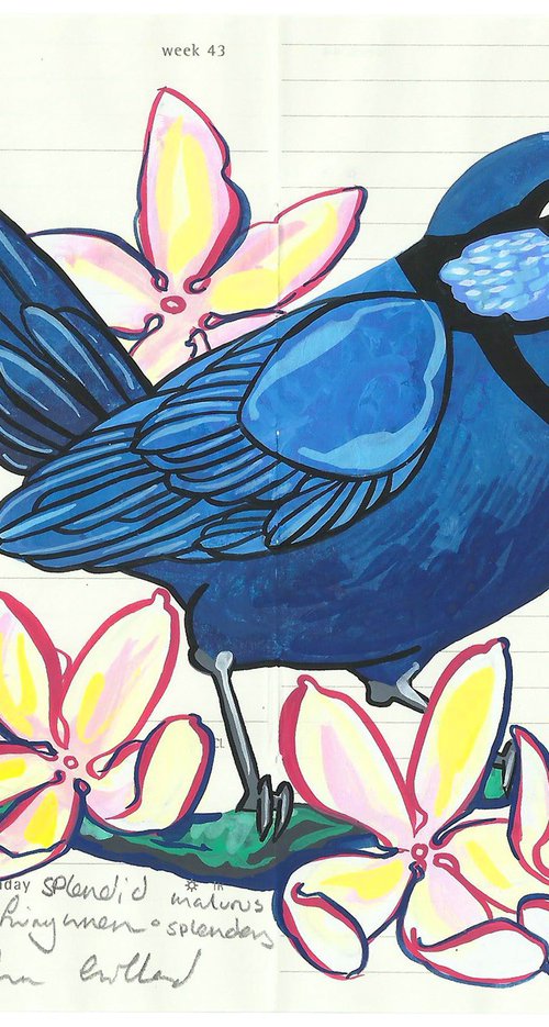 Birds of Australia: Splendid Fairywren and Clematis by Fran Giffard