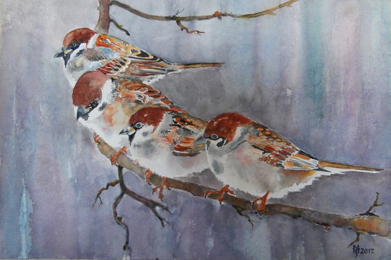 SPARROWS