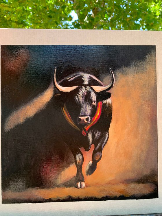 fierce bull