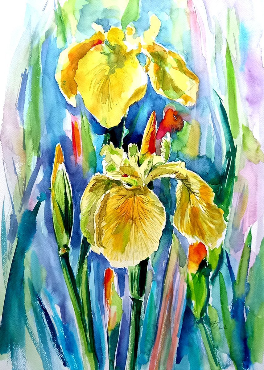 Yellow iris by Kovacs Anna Brigitta