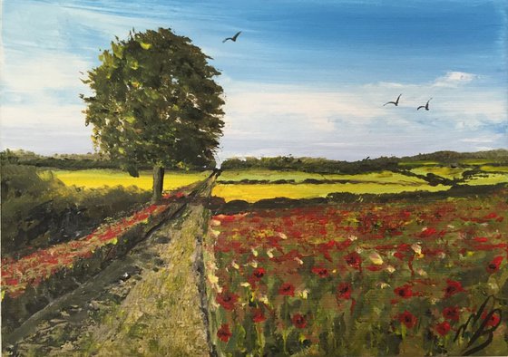 Poppy fields on a mini canvas