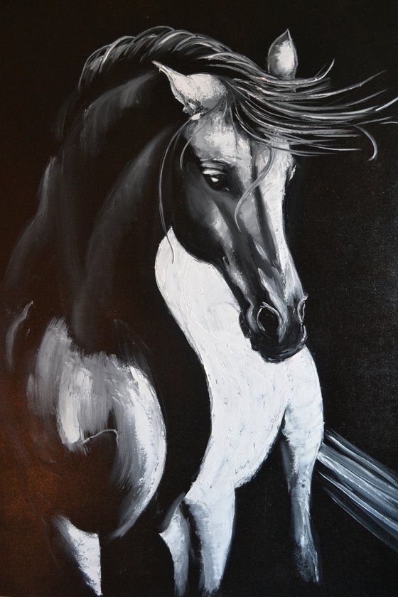 White Horse: Illumination