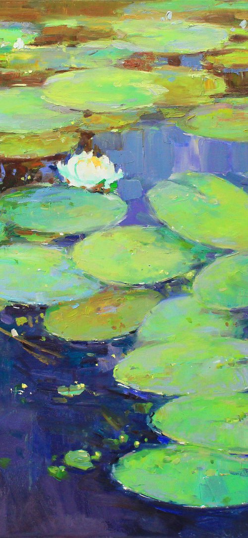 Water Lilies by Serhii Cherniakovskyi